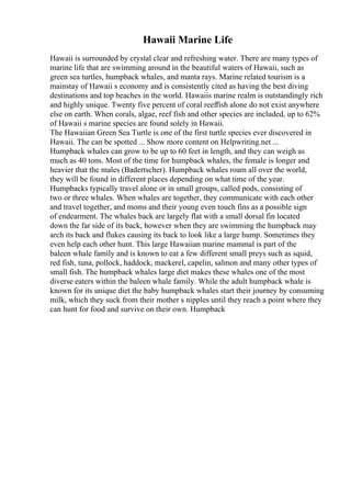 Hawaii Marine Life
Hawaii is surrounded by crystal clear and refreshing water. There are many types of
marine life that are swimming around in the beautiful waters of Hawaii, such as
green sea turtles, humpback whales, and manta rays. Marine related tourism is a
mainstay of Hawaii s economy and is consistently cited as having the best diving
destinations and top beaches in the world. Hawaiis marine realm is outstandingly rich
and highly unique. Twenty five percent of coral reeffish alone do not exist anywhere
else on earth. When corals, algae, reef fish and other species are included, up to 62%
of Hawaii s marine species are found solely in Hawaii.
The Hawaiian Green Sea Turtle is one of the first turtle species ever discovered in
Hawaii. The can be spotted ... Show more content on Helpwriting.net ...
Humpback whales can grow to be up to 60 feet in length, and they can weigh as
much as 40 tons. Most of the time for humpback whales, the female is longer and
heavier that the males (Badertscher). Humpback whales roam all over the world,
they will be found in different places depending on what time of the year.
Humpbacks typically travel alone or in small groups, called pods, consisting of
two or three whales. When whales are together, they communicate with each other
and travel together, and moms and their young even touch fins as a possible sign
of endearment. The whales back are largely flat with a small dorsal fin located
down the far side of its back, however when they are swimming the humpback may
arch its back and flukes causing its back to look like a large hump. Sometimes they
even help each other hunt. This large Hawaiian marine mammal is part of the
baleen whale family and is known to eat a few different small preys such as squid,
red fish, tuna, pollock, haddock, mackerel, capelin, salmon and many other types of
small fish. The humpback whales large diet makes these whales one of the most
diverse eaters within the baleen whale family. While the adult humpback whale is
known for its unique diet the baby humpback whales start their journey by consuming
milk, which they suck from their mother s nipples until they reach a point where they
can hunt for food and survive on their own. Humpback
 