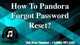 How To Pandora
Forgot Password
Reset?
 