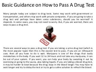 Basic Guidance on How to Pass A Drug Test
Many people today are subject to drug tests. Some may work with government or
transportation, and others may work with private companies. If you are going to take a
drug test and perhaps have taken some substances, should you be worried? It
depends. In some cases, you may not need to worry. But, if you are worried, there are
ways to pass a drug test.
There are several ways to pass a drug test. If you are taking a urine drug test (which is
the most popular type) then this is the easiest test to pass. If you are an infrequent
user, then all you have to do is wait. Marijuana is one of the drugs that easily
metabolizes in the body. If you wait 12 to 24 hours and not take any marijuana, it can
be out of your system. If you want, you can help your body by sweating it out by
exercising or going to the sauna, plus taking liquids. If you are taking a blood drug test,
it may be harder to beat because the drug stays in the blood longer. You may have to
wait longer and try to delay the test or try to get a saline solution to refresh the blood.
 