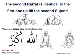 The second Rak'at is identical to the
      first one up till the second Sujood



After second Sujood sit up from the floor saying:




Allahu Akbar
Allah is the Greatest                               www.voqonline.com
 