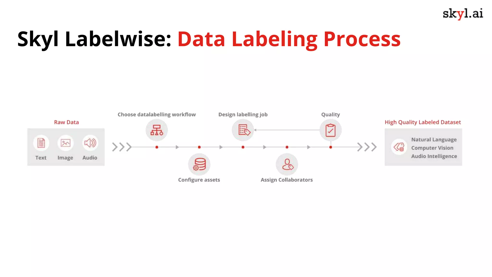 Skyl Labelwise: Data Labeling Process
 