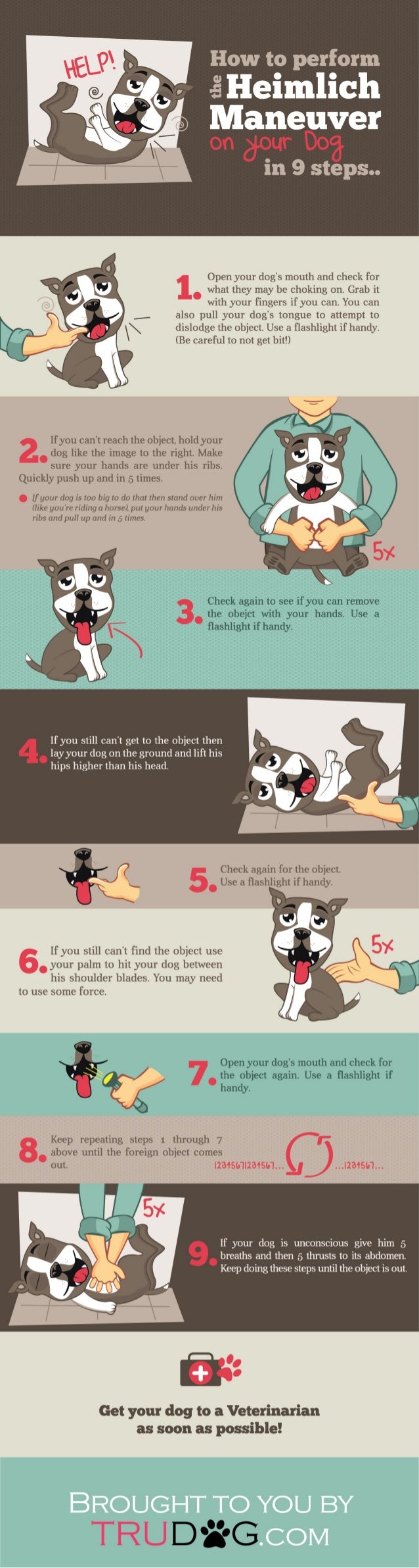 heimlich maneuver on dogs how to perform the heimlich maneuver on your in 9 steps heimlich maneuver on dogs how to perform the heimlich maneuver on your in 9 steps