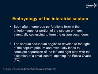 Embryology of the interatrial septum
• Soon after, numerous perforations form in the
anterior–superior portion of the septum primum,
eventually coalescing to form the ostium secundum.
• The septum secundum begins to develop to the right
of the septum primum and eventually leads to
complete separation of the left and right atria with the
exception of a small central opening the Fossa Ovalis
(FO).
The Journal of Innovations in Cardiac Rhythm Management, October 2013
 