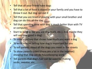 How to persuade parents to buy a dog | PPTX