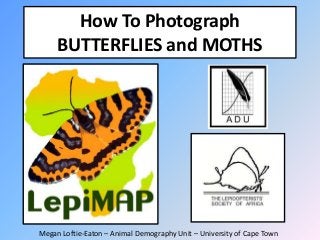 How To Photograph
BUTTERFLIES and MOTHS

Megan Loftie-Eaton – Animal Demography Unit – University of Cape Town

 