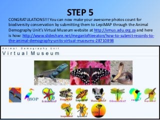STEP 5

CONGRATULATIONS!!! You can now make your awesome photos count for
biodiversity conservation by submitting them to ...