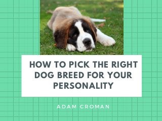 HOW TO PICK THE RIGHT
DOG BREED FOR YOUR
PERSONALITY
A D A M C R O M A N
 