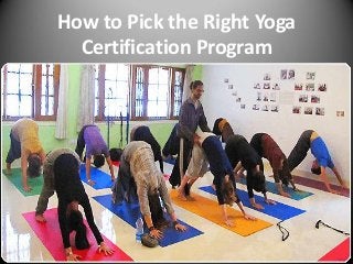 How to Pick the Right Yoga
Certification Program
 