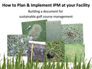 How to Plan & Implement IPM at your Facility Building a document for  sustainable golf course management 