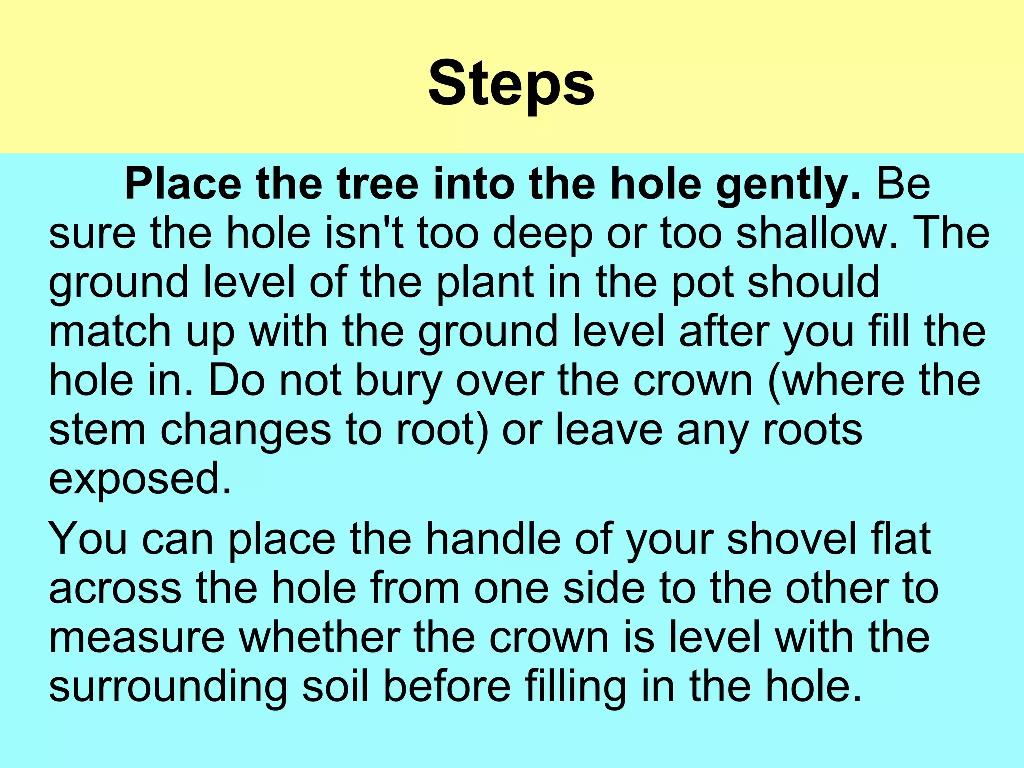 Steps
Place the tree into the hole gently. Be
sure the hole isn't too deep or too shallow. The
ground level of the plant in the pot should
match up with the ground level after you fill the
hole in. Do not bury over the crown (where the
stem changes to root) or leave any roots
exposed.
You can place the handle of your shovel flat
across the hole from one side to the other to
measure whether the crown is level with the
surrounding soil before filling in the hole.
 