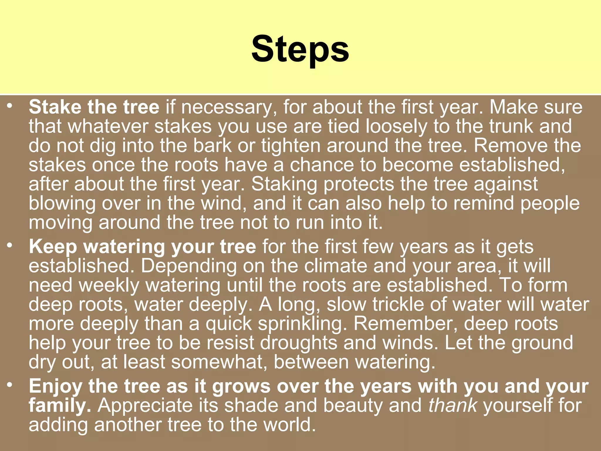 Steps
• Stake the tree if necessary, for about the first year. Make sure
that whatever stakes you use are tied loosely to the trunk and
do not dig into the bark or tighten around the tree. Remove the
stakes once the roots have a chance to become established,
after about the first year. Staking protects the tree against
blowing over in the wind, and it can also help to remind people
moving around the tree not to run into it.
• Keep watering your tree for the first few years as it gets
established. Depending on the climate and your area, it will
need weekly watering until the roots are established. To form
deep roots, water deeply. A long, slow trickle of water will water
more deeply than a quick sprinkling. Remember, deep roots
help your tree to be resist droughts and winds. Let the ground
dry out, at least somewhat, between watering.
• Enjoy the tree as it grows over the years with you and your
family. Appreciate its shade and beauty and thank yourself for
adding another tree to the world.
 