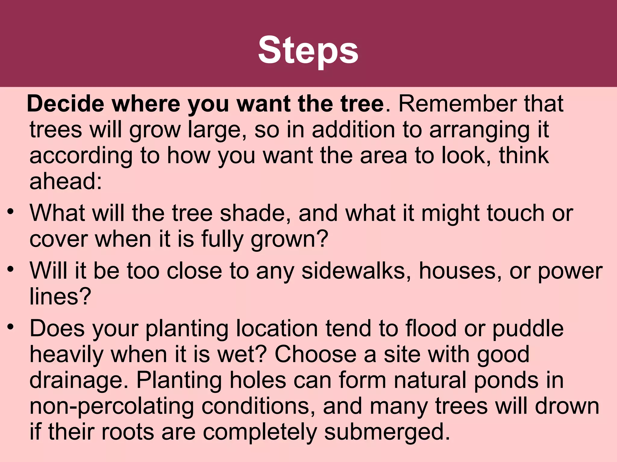 Steps
Decide where you want the tree. Remember that
trees will grow large, so in addition to arranging it
according to how you want the area to look, think
ahead:
• What will the tree shade, and what it might touch or
cover when it is fully grown?
• Will it be too close to any sidewalks, houses, or power
lines?
• Does your planting location tend to flood or puddle
heavily when it is wet? Choose a site with good
drainage. Planting holes can form natural ponds in
non-percolating conditions, and many trees will drown
if their roots are completely submerged.
 