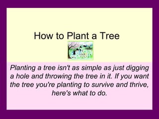 Howtoplantatree | PPT