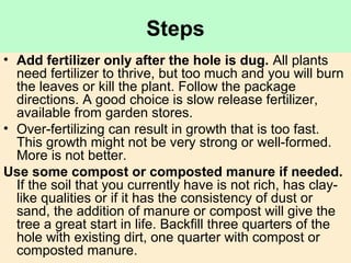 Steps
• Add fertilizer only after the hole is dug. All plants
need fertilizer to thrive, but too much and you will burn
the leaves or kill the plant. Follow the package
directions. A good choice is slow release fertilizer,
available from garden stores.
• Over-fertilizing can result in growth that is too fast.
This growth might not be very strong or well-formed.
More is not better.
Use some compost or composted manure if needed.
If the soil that you currently have is not rich, has clay-
like qualities or if it has the consistency of dust or
sand, the addition of manure or compost will give the
tree a great start in life. Backfill three quarters of the
hole with existing dirt, one quarter with compost or
composted manure.
 