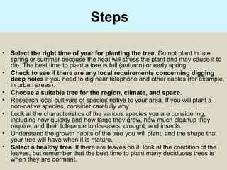 Steps
• Select the right time of year for planting the tree. Do not plant in late
spring or summer because the heat will stress the plant and may cause it to
die. The best time to plant a tree is fall (autumn) or early spring.
• Check to see if there are any local requirements concerning digging
deep holes if you need to dig near telephone and other cables (for example,
in urban areas).
• Choose a suitable tree for the region, climate, and space.
• Research local cultivars of species native to your area. If you will plant a
non-native species, consider carefully why.
• Look at the characteristics of the various species you are considering,
including how quickly and how large they grow, how much cleanup they
require, and their tolerance to diseases, drought, and insects.
• Understand the growth habits of the tree you will plant, and the shape that
your tree will have when it is mature.
• Select a healthy tree. If there are leaves on it, look at the condition of the
leaves, but remember that the best time to plant many deciduous trees is
when they are dormant.
 