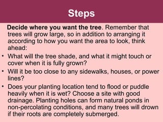 Steps
Decide where you want the tree. Remember that
trees will grow large, so in addition to arranging it
according to how you want the area to look, think
ahead:
• What will the tree shade, and what it might touch or
cover when it is fully grown?
• Will it be too close to any sidewalks, houses, or power
lines?
• Does your planting location tend to flood or puddle
heavily when it is wet? Choose a site with good
drainage. Planting holes can form natural ponds in
non-percolating conditions, and many trees will drown
if their roots are completely submerged.
 