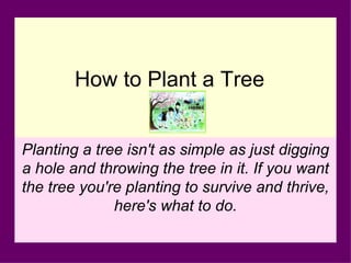 How to Plant a Tree


Planting a tree isn't as simple as just digging
a hole and throwing the tree in it. If you want
the tree you're planting to survive and thrive,
              here's what to do.
 