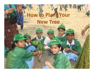 How to Plant Your
   New Tree
 