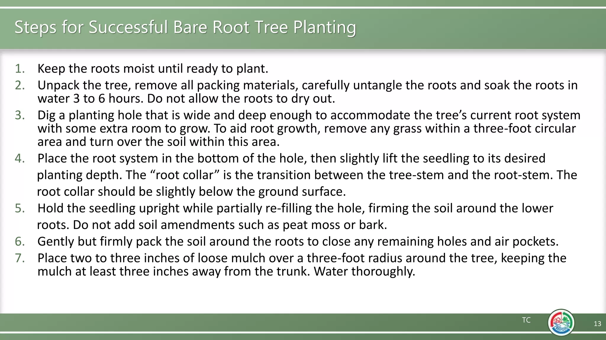 How to Plant a Tree | PPTX