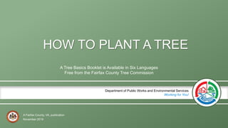 A Fairfax County, VA, publication
Department of Public Works and Environmental Services
Working for You!
HOW TO PLANT A TREE
A Tree Basics Booklet is Available in Six Languages
Free from the Fairfax County Tree Commission
November 2019
 