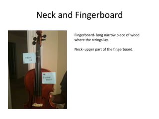 Neck and Fingerboard
        Fingerboard- long narrow piece of wood
        where the strings lay.

        Neck- upper part of the fingerboard.
 