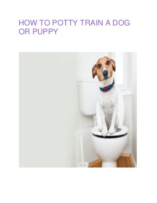 HOW TO POTTY TRAIN A DOG
OR PUPPY
 