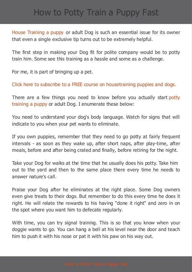 how to potty dogs fast how to potty a puppy fast how to potty dogs fast how to potty a puppy fast