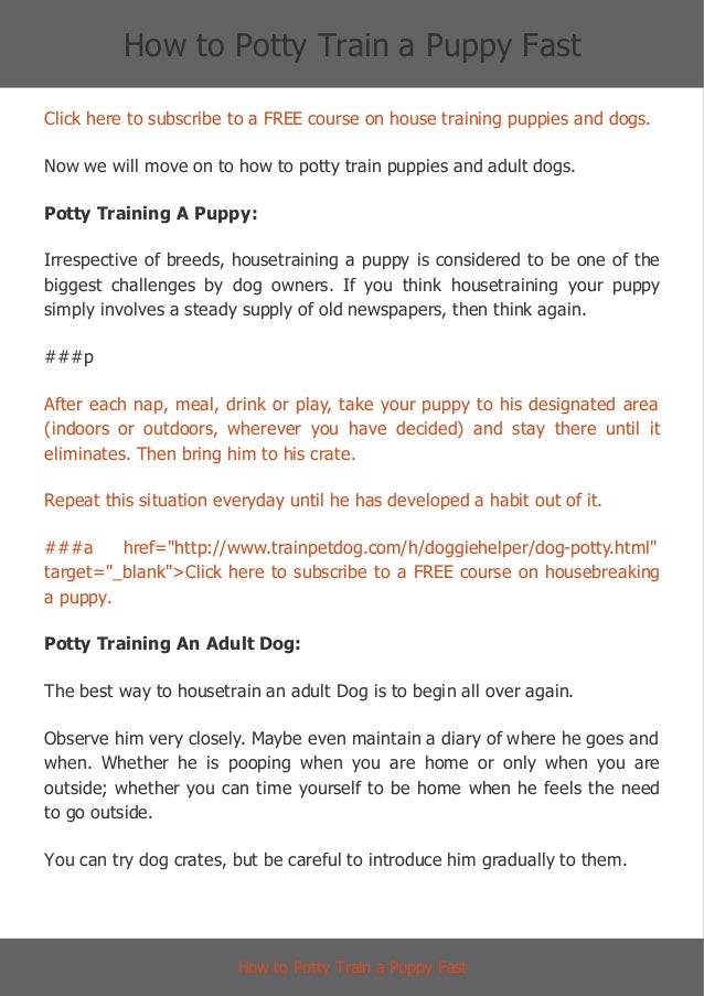 how to potty dogs fast how to potty a puppy fast how to potty dogs fast how to potty a puppy fast