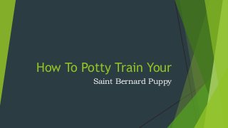 How To Potty Train Your
Saint Bernard Puppy
 