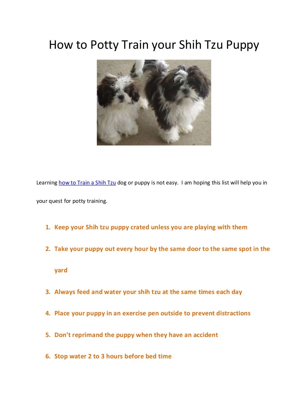 How to potty train your shih tzu puppy