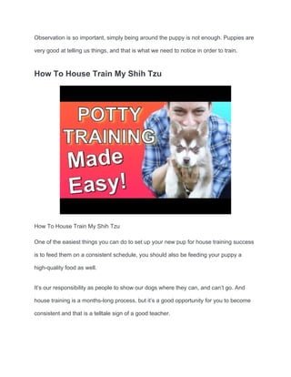 How to potty train your shih tzu puppy