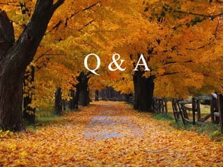 Q & A 