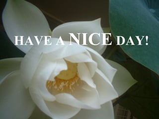 HAVE A  NICE  DAY! 