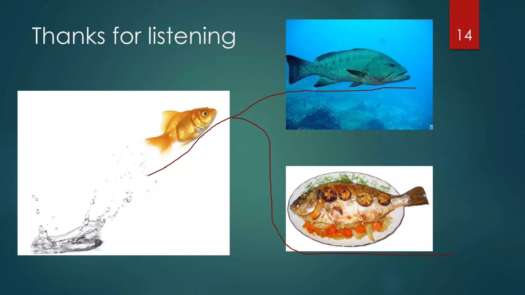 Thanks for listening 14
 