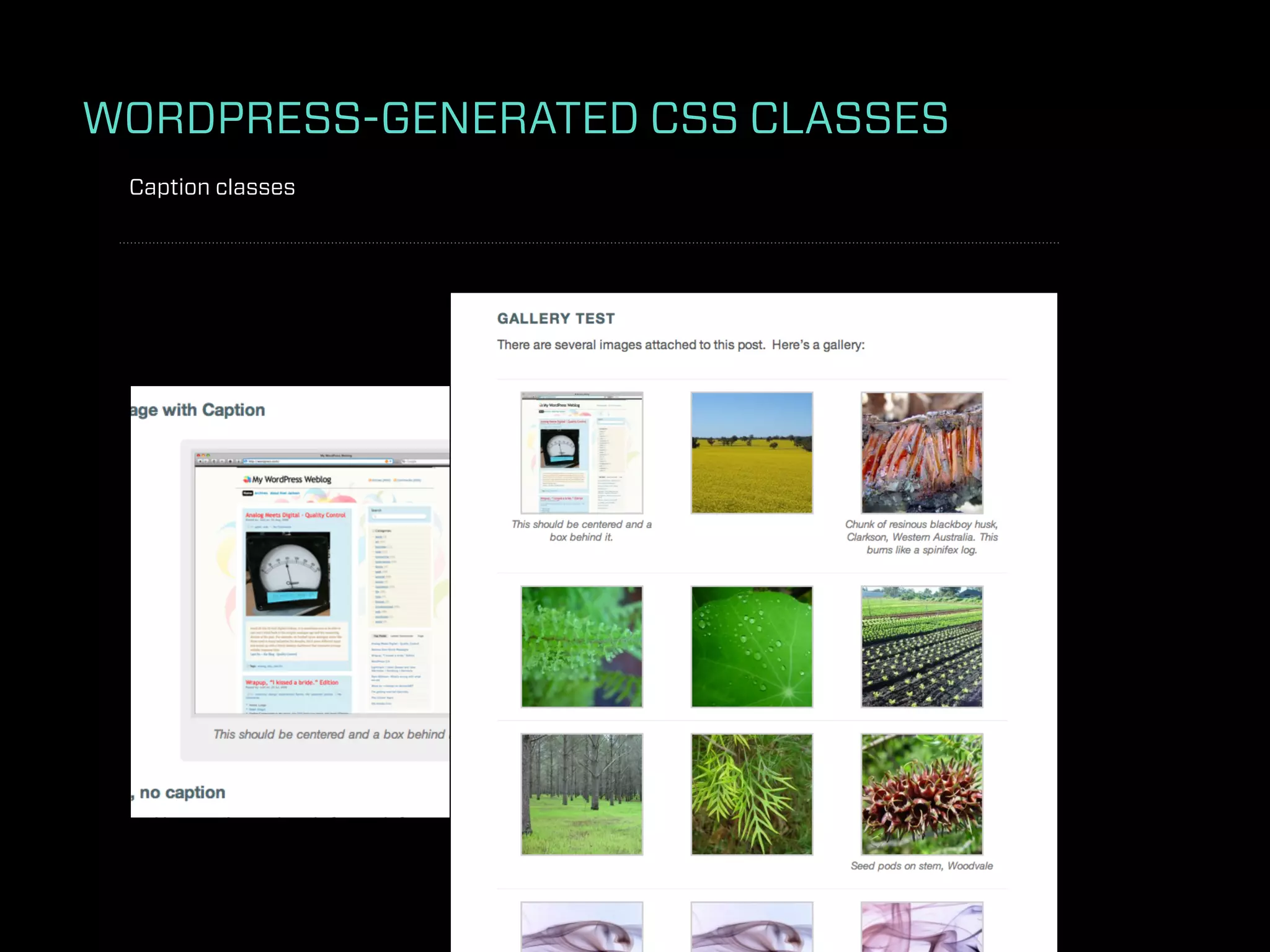 WORDPRESS-GENERATED CSS CLASSES
 Caption classes
 