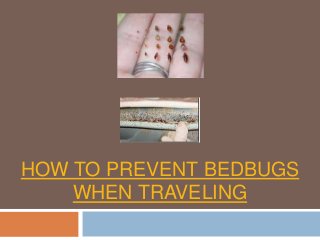HOW TO PREVENT BEDBUGS 
WHEN TRAVELING 
 