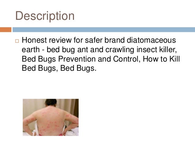 How To Prevent Bedbugs When Traveling