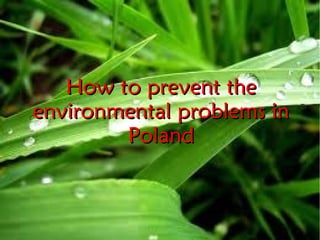 How to prevent the
environmental problems in
        Poland
 