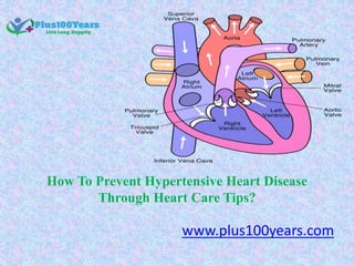 How To Prevent Hypertensive Heart Disease
Through Heart Care Tips?
www.plus100years.com
 
