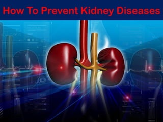 How To Prevent Kidney Diseases

 