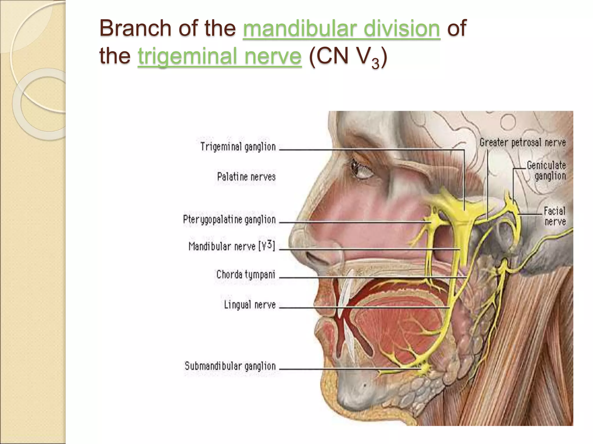 How to Prevent Lingual nerve Damage during Mandibular 1.ppt