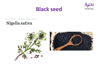 Black seed
 