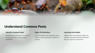 Effective Home Pest Prevention Tips for a Healthy Living Space | PDF
