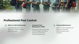 Effective Home Pest Prevention Tips for a Healthy Living Space | PDF