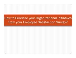 How to Prioritize your Organizational Initiatives
  from your Employee Satisfaction Survey?
 