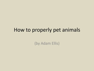 How to properly pet animals 
(by Adam Ellis) 
 