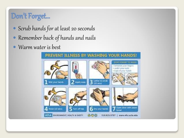 How To Properly Wash Your hands | PPTX