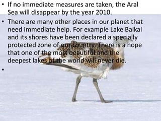 • If no immediate measures are taken, the Aral
  Sea will disappear by the year 2010.
• There are many other places in our planet that
  need immediate help. For example Lake Baikal
  and its shores have been declared a specially
  protected zone of our country. There is a hope
  that one of the most beautiful and the
  deepest lakes of the world will never die.
•
 