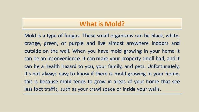 What is Mold?
Mold is a type of fungus. These small organisms can be black, white,
orange, green, or purple and live almost anywhere indoors and
outside on the wall. When you have mold growing in your home it
can be an inconvenience, it can make your property smell bad, and it
can be a health hazard to you, your family, and pets. Unfortunately,
it’s not always easy to know if there is mold growing in your home,
this is because mold tends to grow in areas of your home that see
less foot traffic, such as your crawl space or inside your walls.
 
