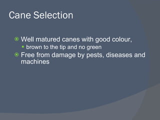 Cane Selection <ul><li>Well matured canes with good colour,  </li></ul><ul><ul><li>brown to the tip and no green </li></ul...